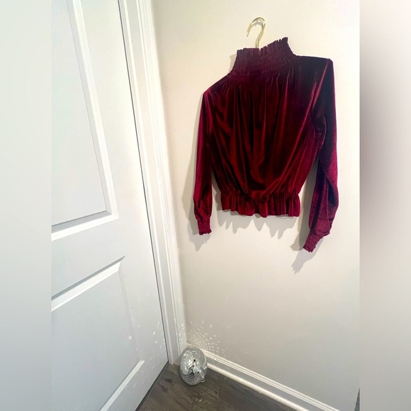 Boohoo Velvet Top/Turtleneck with the sweetest details! - Picture 2 of 5